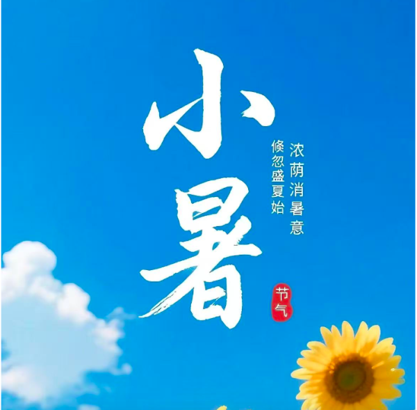 中玉束哈 明日小暑，别忘了吃这菜，小暑吃它“赛人参”，补血补气、除风湿